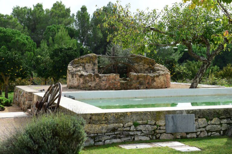 CONCIERGE - SERVICES